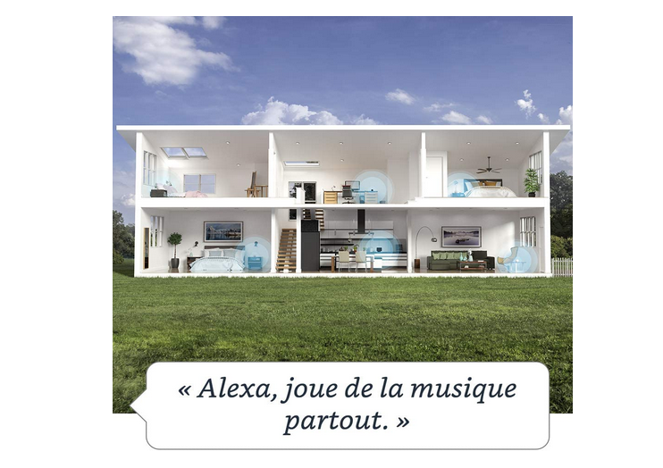 Nouvel Echo Dot (4e génération), Enceinte connectée avec Alexa, Anthracite  – A2F : votre magasin d'informatique proche de Bordeaux